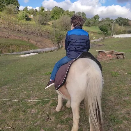 Nature Et Al House - Casa Uso Exclusivo E Jardim - Little Farm