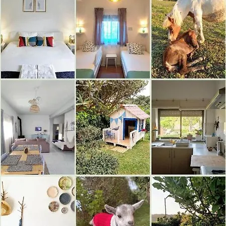 Nature Et Al House - Casa Uso Exclusivo E Jardim - Little Farm 4* Batalha