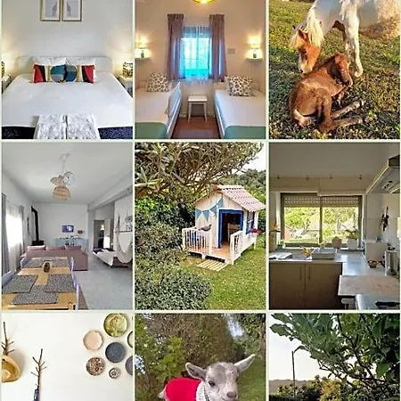 Bed & Breakfast Nature Et Al House - Casa Uso Exclusivo E Jardim - Little Farm