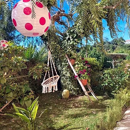 Bed & Breakfast Nature Et Al House - Casa Uso Exclusivo E Jardim - Little Farm Batalha