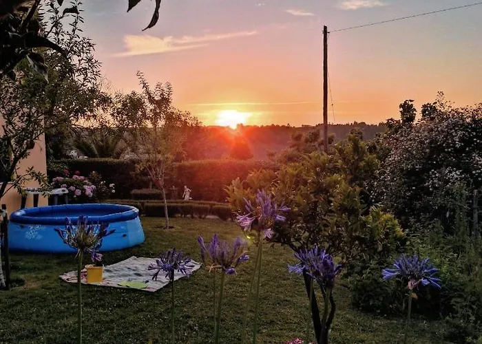 Nature Et Al House - Casa Uso Exclusivo E Jardim - Little Farm Bed & Breakfast