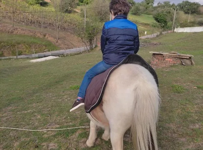 Nature Et Al House - Casa Uso Exclusivo E Jardim - Little Farm