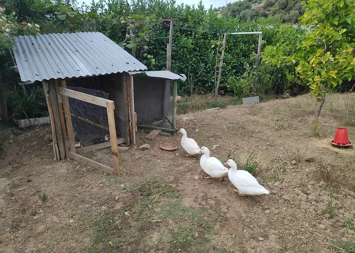 Bed & Breakfast Nature Et Al House - Casa Uso Exclusivo E Jardim - Little Farm